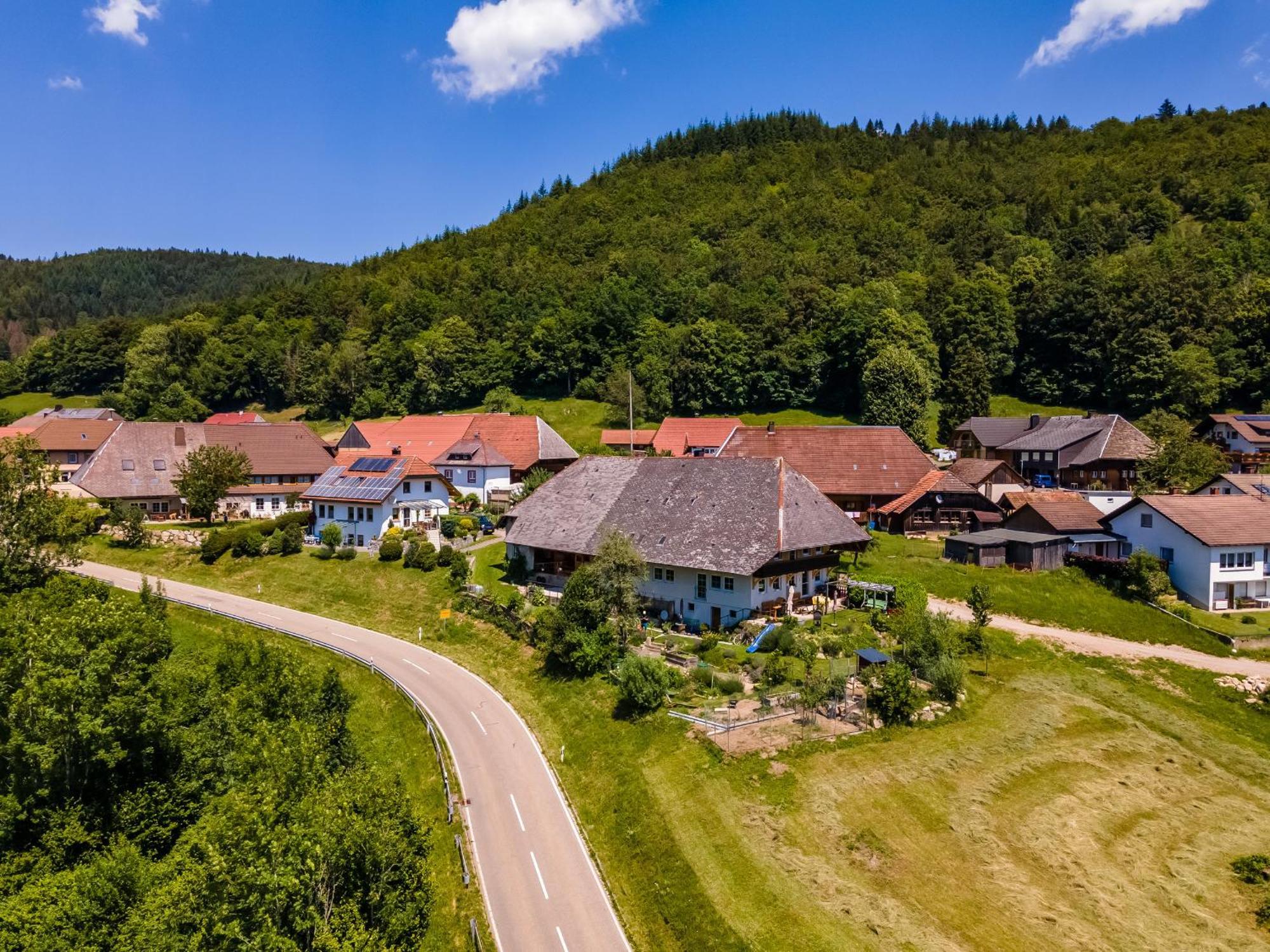 Ferienwohnung Belchenliebe Schonenberg Kültér fotó