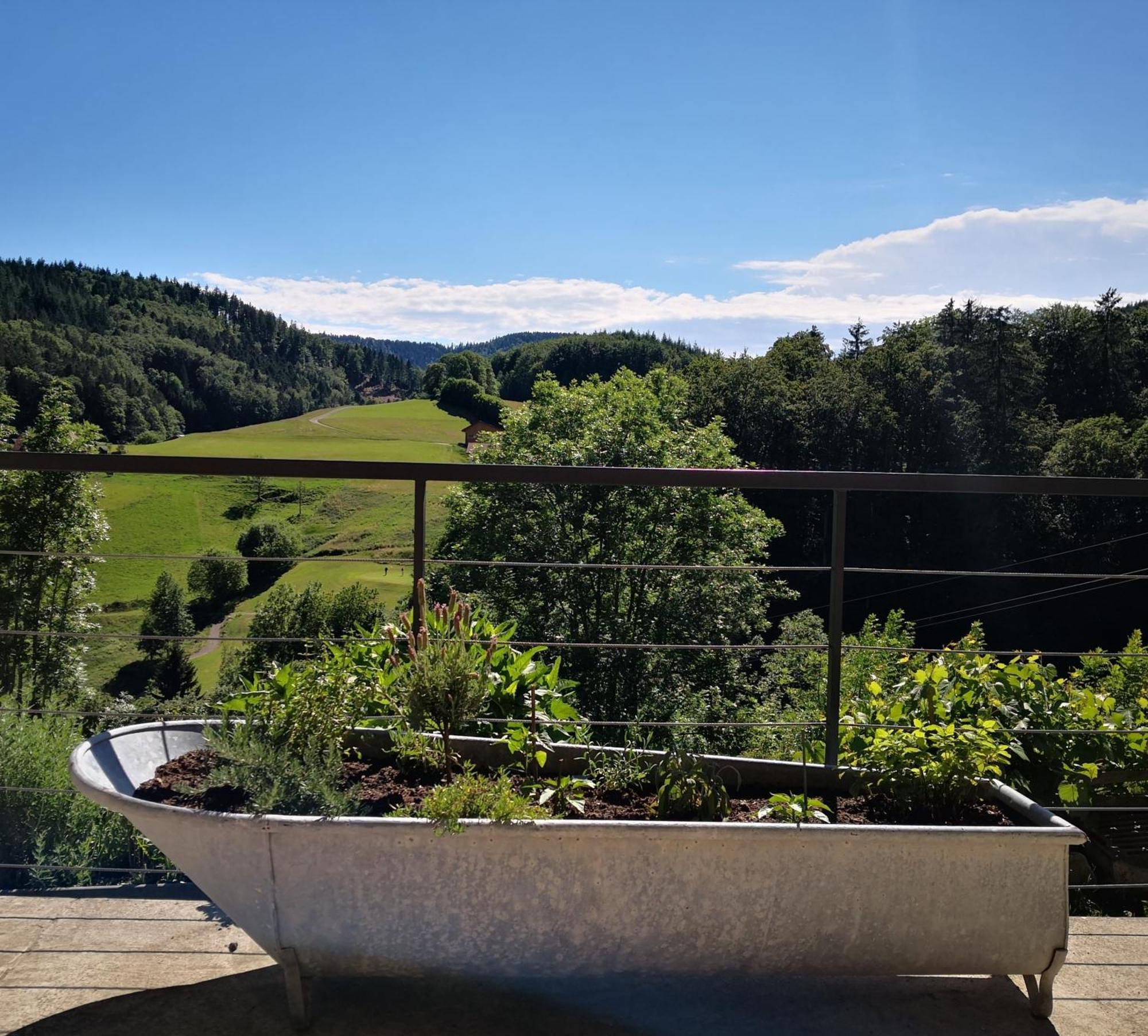 Ferienwohnung Belchenliebe Schonenberg Kültér fotó