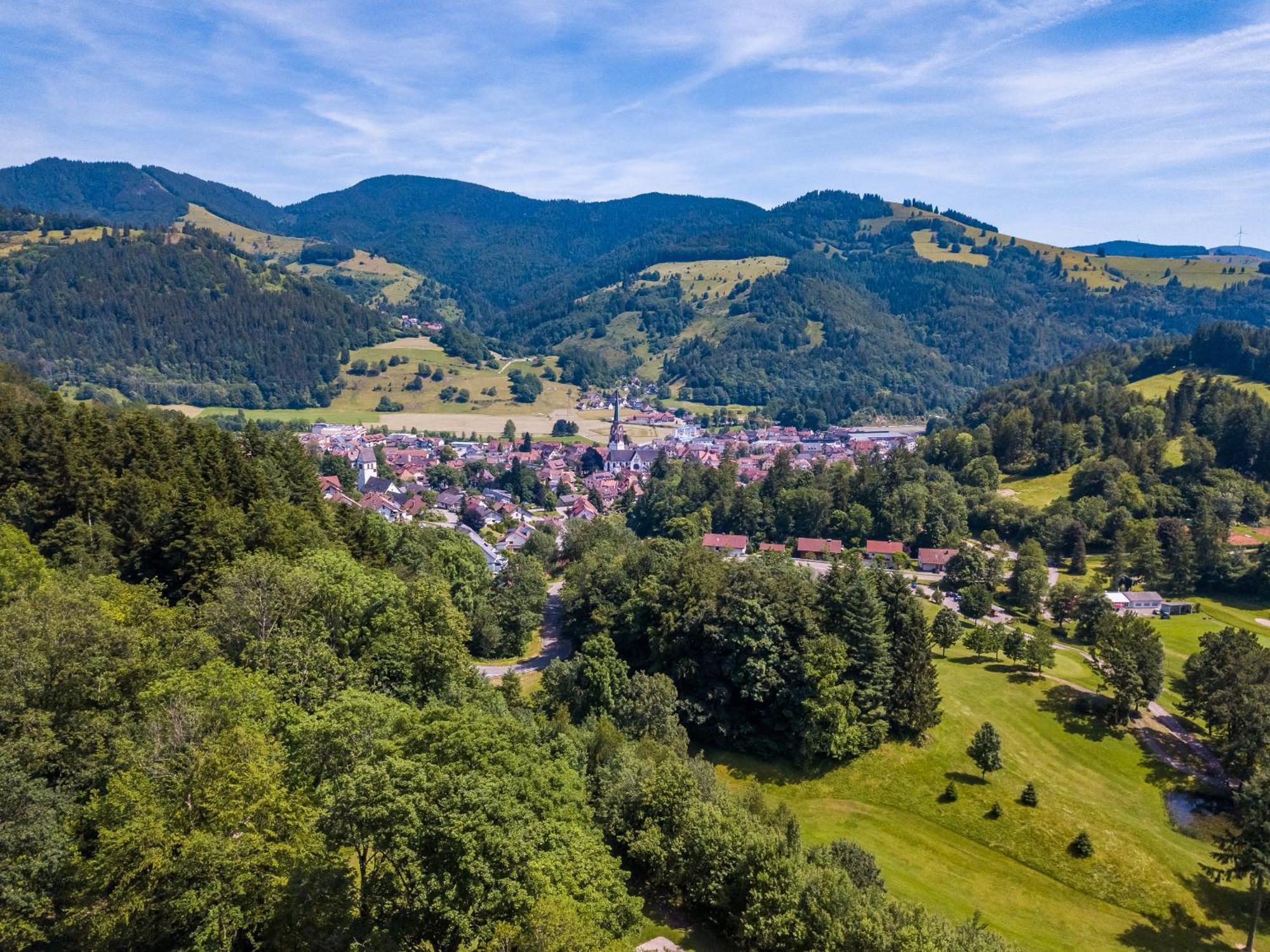 Ferienwohnung Belchenliebe Schonenberg Kültér fotó